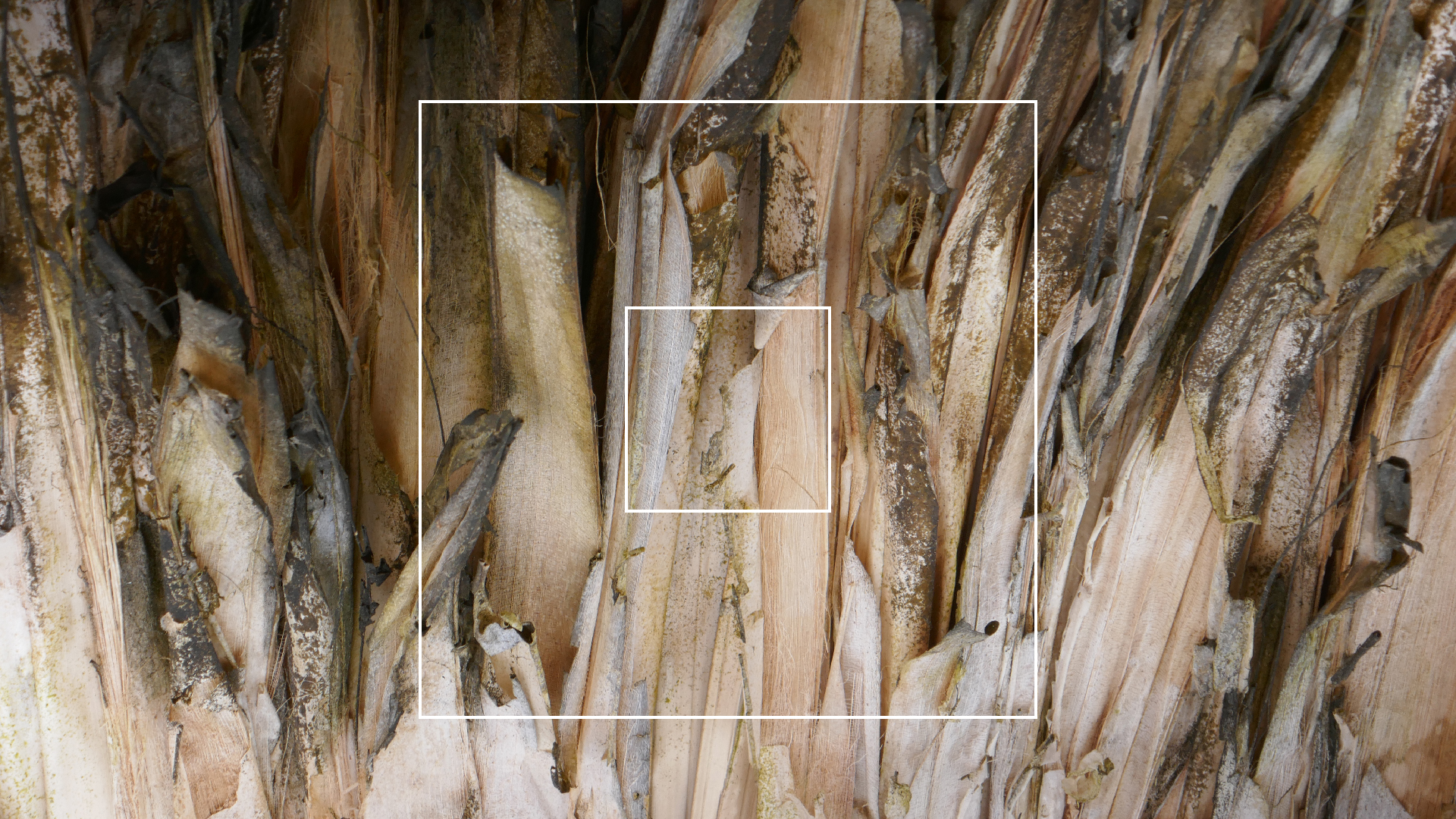 2022-10-29 13 Uhr 27 Playa Kalki (Foto, Video)